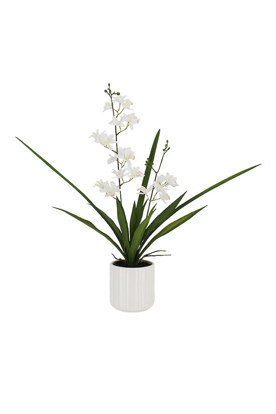 Flower Bouquets Hospital Approved