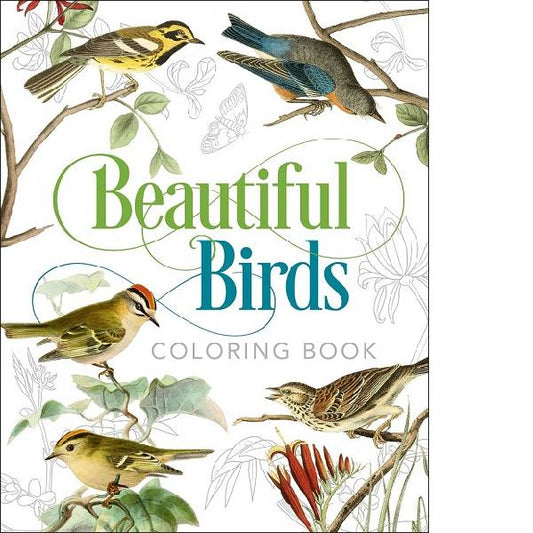 Art and Activity pack