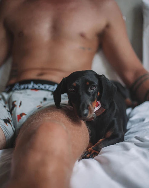 Bamboo Men's Undies