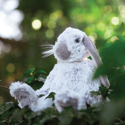 Collectable Wrendale Soft Toys