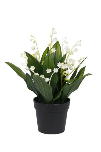 Flower Bouquets Hospital Approved